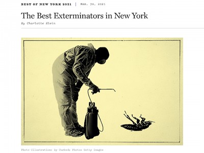 Best Exterminators in New York City